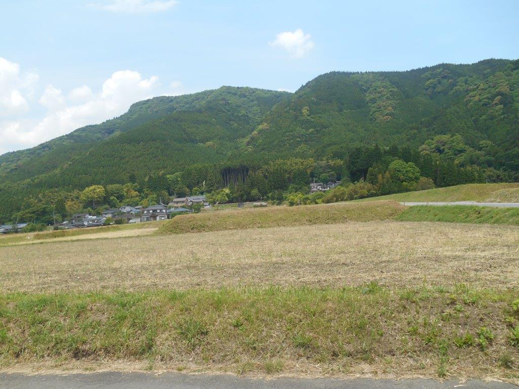 ottosei