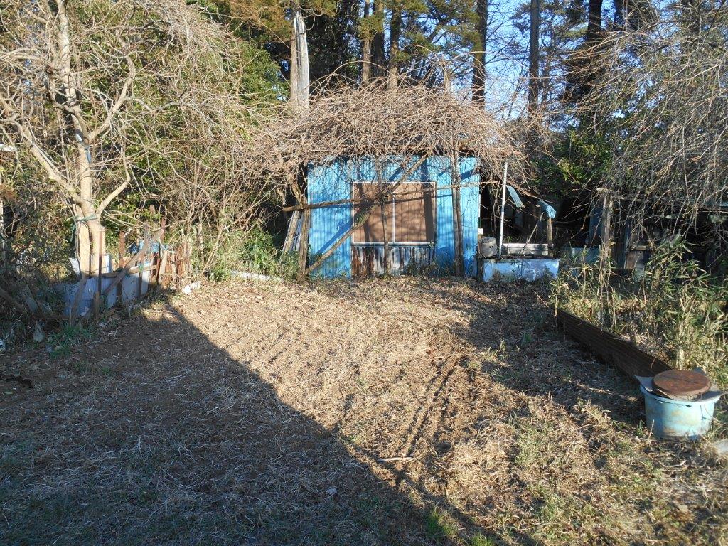 �摜�R