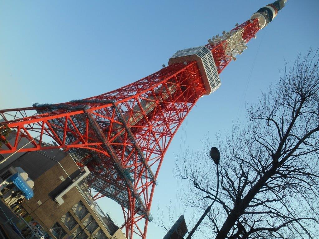 �摜1