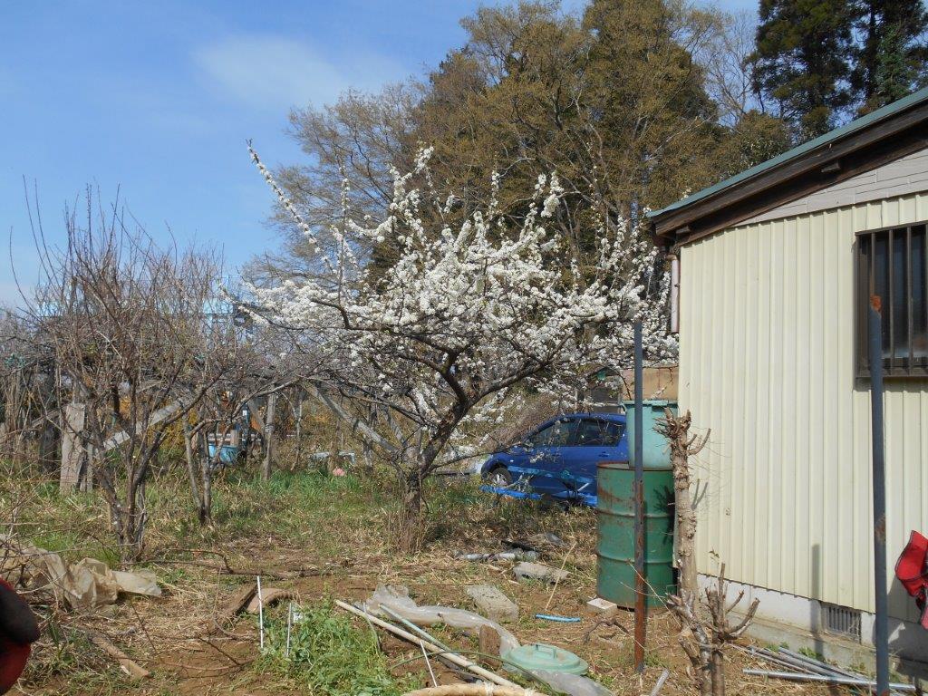 �摜�R